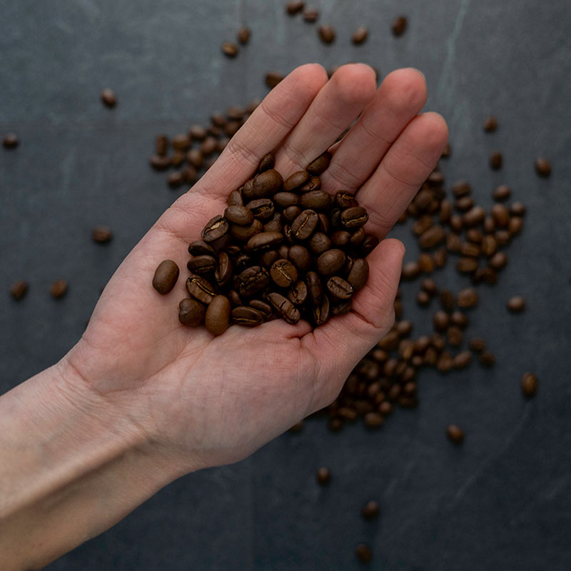 Specialty Coffee ist ein weiterer Bereich unserer Fachexpertise, in dem wir Sie gerne beraten